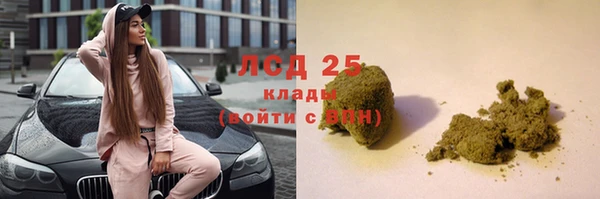 гашик Балахна