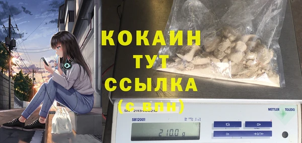 гашик Балахна