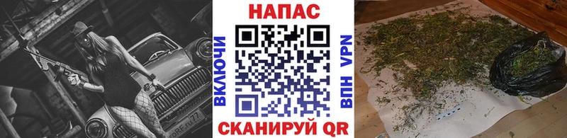 OMG онион  Шарыпово  площадка телеграм  как найти закладки  Марихуана семена 
